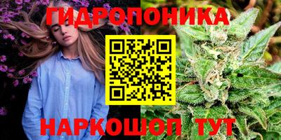 PSILOCYBIN Гай