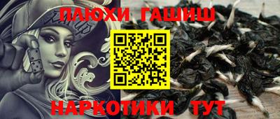 PSILOCYBIN Гай